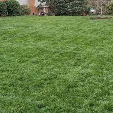 What is a dormant lawn? Get Sunday Sundaygrow Twitter