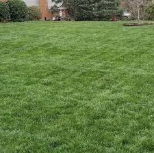 Sunday lawn care is a subscription lawn fertilizer program. Get Sunday Sundaygrow Twitter