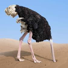 Leftover roast pork / recipe moroccan pork with apricots sainsbury s recipes / more ideas for leftover pork. Wani Dan Baiwa Ya Bayyana Tsafe Jahar Zamfara Jaridar Taskar Labarai