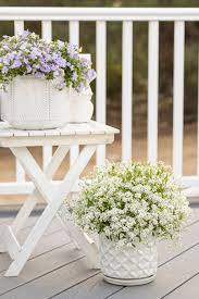 If you live in a climate colder than zone 7, start the night phlox and bunny's tail grass from seed. 20 White And Silver Plants Perfect For Creating Moon Gardens Proven Winners