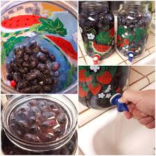 Kalamata Style Home Cured Olives In 2020 Olive Recipes Kalamata The Cure