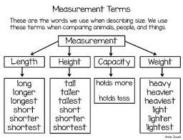 Graphic Organizer With Terms We Use To Describe And Compare People Animals And Things Measurement Kindergarten Kindergarten Vocabulary Measurement Activities