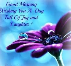 50 Best Good Morning Quotes To Make Your Day Happy Purple Flowers Purple Macro Photography A collection of good morning pictures, images, comments for facebook, whatsapp, instagram and more. pinterest
