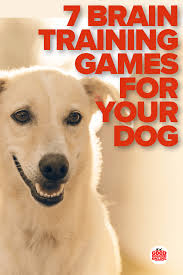Brain Training For Dogs 7 Brain Games To Play With Your Pup In 2020 Brain Training Games Dog Brain Dog Training Obedience