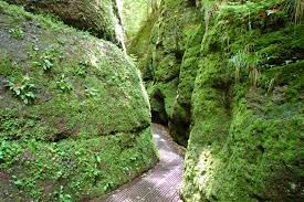 Get details of location, timings and contact. Drachenschlucht Wikipedia