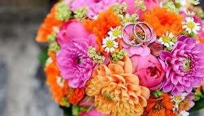 Nov 20, 2019 · einige typische hochzeitsblumen kannst du das ganze jahr über erhalten, so z.b. Hochzeitsblumen Und Ihre Bedeutungen Weddix