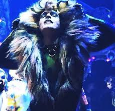 The show was the longest running in broadway history from 1997 until 2006, and was revived on broadway in 2016. Tyler Hanes As Rum Tum Tugger 2016 2017 Broadway Revival Of Cats Cat Movie Jellicle Cats Pretty Cats