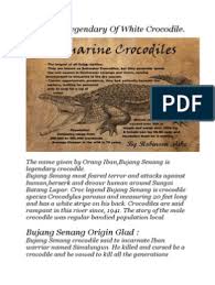 It was said the simalungun was a famous warrior back when the skull of bujang senang displayed at the sarawak museum may invoke legends of warriors and curses from a bygone era in the visitors' minds. Sarawak Legendary Of White Crocodile