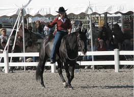Letter To My Rookie Self: Stacy Westfall - Horse Rookie