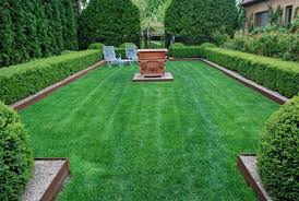 outdoor landscaping, garden hedges