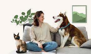 Explore other popular pets near you from over 7 million businesses with over 142 million reviews and opinions from yelpers. Pet Care Made Simple Zoetis Petcare