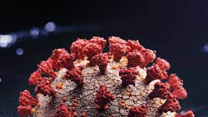 The mutation is referred to as a double mutant because it carries two mutations that help. First Confirmed Us Case Of Double Mutant Covid Variant Found In California News 4 Buffalo