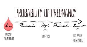 Am I Pregnant Calculate Your Chances Of Getting Pregnant With Quiz