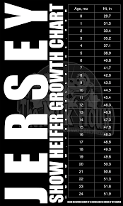 Jersey Heifer Growth Chart The Bullvine The Dairy