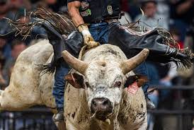 With rob morgan, amber havard, yolonda ross, keira bennett. The Insanity Of Professional Bull Riding Comes To Memphis