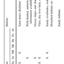 Image result for Sporobolus bechuanicus