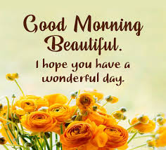 I am glad to see you! 200 Good Morning Messages Wishes Quotes Wishesmsg