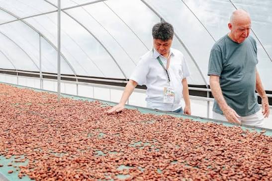 PIA - Cacao factory in Albay ramps up livelihood support to local community