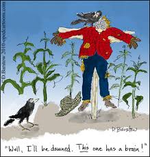 What A Crow Discovered In The Cornfield Psychology Today Halloween autumn harvest straw fall hat field thanksgiving nature scarecrow. what a crow discovered in the cornfield
