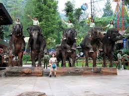 افضل 4 انشطة في حديقة سفاري بونشاك اندونيسيا رحلاتك