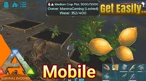 Cactus plants, with their many structural adaptations to live successfully in hot dry environments, look so different from other plants that people are fooled into thinking that cacti don't have the same needs as leafy plants. How To Make Stego Egg Kibble In Ark Mobile Kibble Recipes Android Ios Youtube