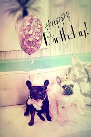 Birthday Wishes In French Happy Birthday French Bulldog Happy Birthday Dog Bulldog Happy Birthday Happy Birthday
