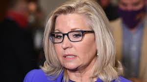 Republicans just kicked liz cheney to the curb because she won't shut up about president trump's election lies. Vyl39lu Wm5kpm