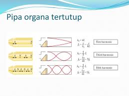 Pipa organa dibedakan menjadi pipa organa terbuka dan pipa organa. Soal Dan Pembahasan Pipa Organa Studi Indonesia