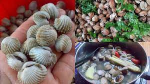 Anda cukup memasukkan pakaian ke dalam tabung mesin cuci, menambahkan detergen, dan memilih siklus yang. Jom Cuba Tips Cuci Kerang Gerenti Putih Sinaran Wanita