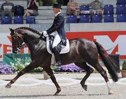 Bikers who are very obsessive. Equitation Science International Esi Rider Position Correct Rider Position Is Not Just A Form Of Arena Etiquette It Fosters Stability And Consistency And Allows The Pressure Release Signals To Be