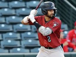 Derek Brehm Stats & Scouting Report