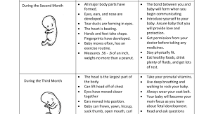 prenatal chart pdf prenatal development child development