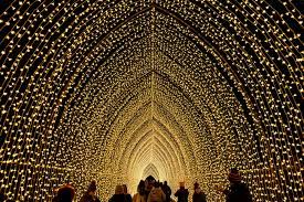 After Dark Light Event Opens At Brooklyn Botanic Garden In 2021 Light In The Dark Best Christmas Lights Holiday Lights