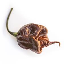 Maybe you would like to learn more about one of these? Trinidad Scorpion Chocolate Cappuccino Pepper Seeds Pepper Joe S