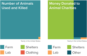 what animal charity helps the most animals steemit