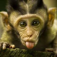 See funny stock video clips. 10 Funny Profile Pictures That Will Make You Stand Out On Any Social Media Platform