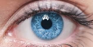 Eye doctor miami, eye doctor kendall, optometrist kendall, optometrist miami. Lasik Eye Surgery Miami Cataracts Miami Ceec