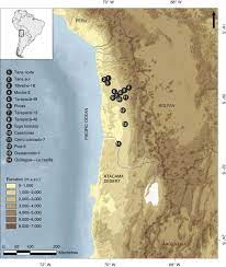 But did you check ebay? White Gold Guano Fertilizer Drove Agricultural Intensification In The Atacama Desert From Ad 1000 Nature Plants