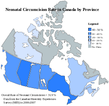 It is one of the most common procedures in the world. Prevalence Of Circumcision Wikipedia