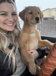 Proplan food alternatives for 14-month lab