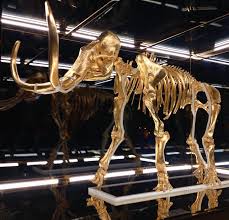 On Exhibit Damien Hirst S Golden Mammoth Unicorn Chill By The Pool In Miami Damien Hirst Hirst Mammoth