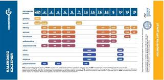 Kalendarz szczepień obowiązkowych na rok 2021 to program, według którego realizowane są szczepienia u pacjentów do 19. Szczepienia