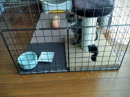 猫のケージを手作りしよう １００均でケージをdiyする方法 mofmo 猫 ケージ 手作り 猫ケージ 猫