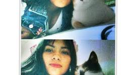 Timeline: biografia viviana quiroga UPN 1994