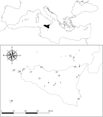 Calificación de 3.00 de 5 con base en 1 opinión. Frontiers An Updated Checklist Of The Sicilian Native Edible Plants Preserving The Traditional Ecological Knowledge Of Century Old Agro Pastoral Landscapes Plant Science