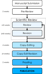Review Process Journal Of Emerging Investigators