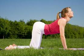 Yoga pose printable wall art cat cow pose cat pose — marjaryasana the posture gets its name from the sanskrit words marjari, meaning cat, and asana, meaning pose. How To Do Cow Pose In 5 Simple Steps Lovetoknow