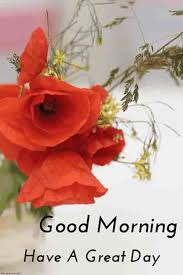 Sometimes, what you really need is a … Best Good Morning Hd Images Wishes Pictures And Greetings