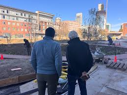 Image result for Sporobolus molleri