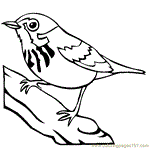Click on the coloring page to open in a new window and print. Blue Jay Coloring Page For Kids Free Blue Jay Printable Coloring Pages Online For Kids Coloringpages101 Com Coloring Pages For Kids